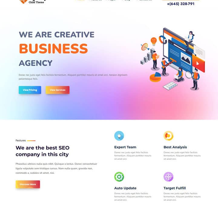 Agency Divi Child Theme