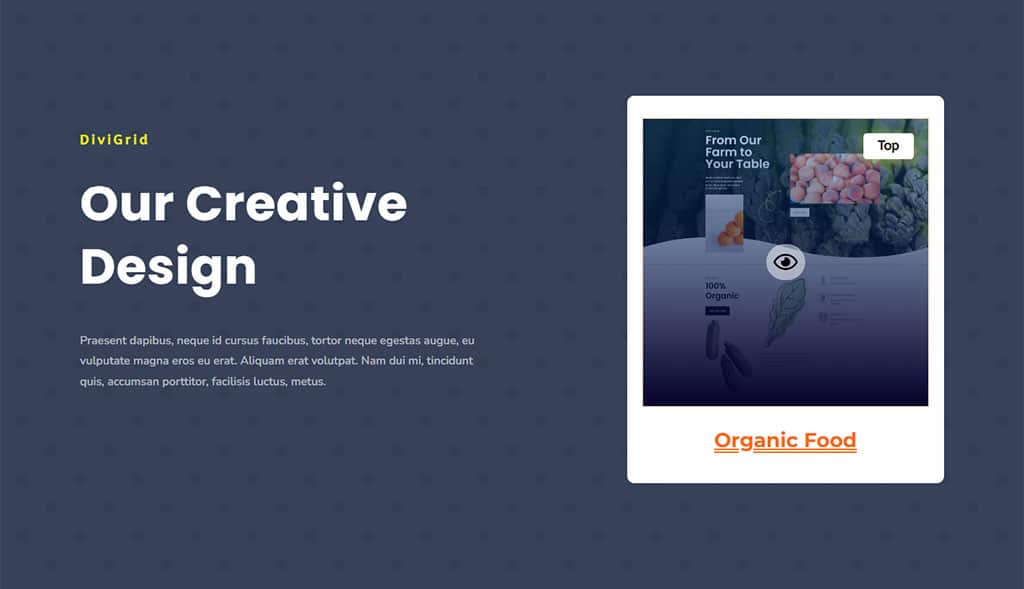 divigrid-content-grid-design-img