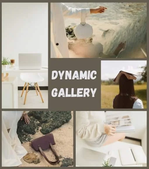 Divi Gallery Module, Masonry gallery and justified gallery